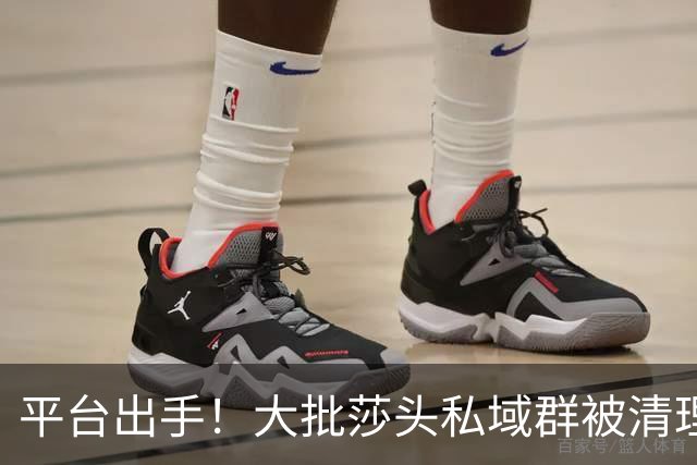 平台出手！大批莎头私域群被清理，饭圈乱象整治，全网纷纷叫好